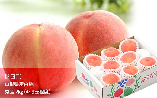 先行予約 2026年度発送【山形県フルーツ定期便3回】山形県産紅秀峰・白桃・ラフランス  F4A-0988