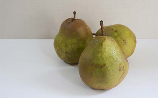 《先行予約》2026年度発送 山形県産 ラフランス○秀品以上約3kg  F4A-0994