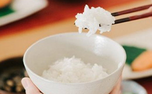 【2024年度】中山町のお米の詰合せ2種セット 数量限定 F4A-0050