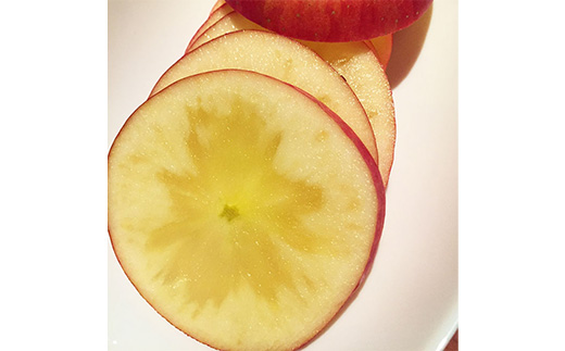 《令和8年産先行受付》山形県中山町産蜜入りんご高徳・こうとく【秀品】約3kg リンゴ 林檎 山形県産 フルーツ 果物 くだもの F4A-0315