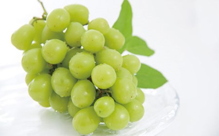 《先行予約》山形県中山町 厳選フルーツ定期便 全4回【2025年6月開始】 佐藤錦 白桃 シャインマスカット ふじりんご さくらんぼ モモ もも ブドウ ぶどう リンゴ 山形県産 フルーツ 果物 くだもの 連続 F4A-0367