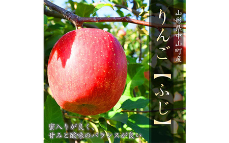 中山町の至高！ 山形県中山町 厳選秋の新米・フルーツ定期便B 全3回 【2025年10月発送開始】 F4A-0383