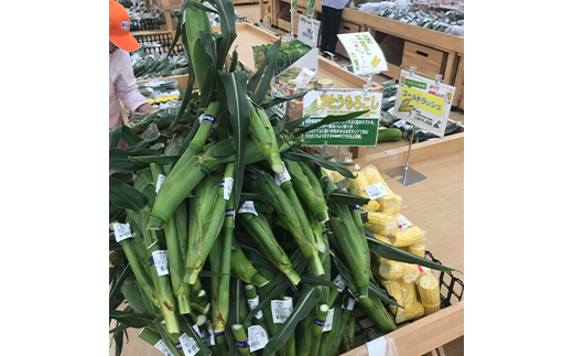 《2026年 先行予約》 山形県 中山町産 とうもろこし（スイートコーン） 約4kg（9～12本） 【青柳農園】 トウモロコシ 野菜 やさい F4A-0408