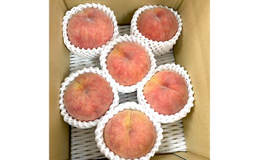 《2026年先行予約》山形県産 大人気！ 夏の収穫 白桃 約2kg（4～10玉） 桃 もも フルーツ くだもの 山形県 中山町 F4A-0423