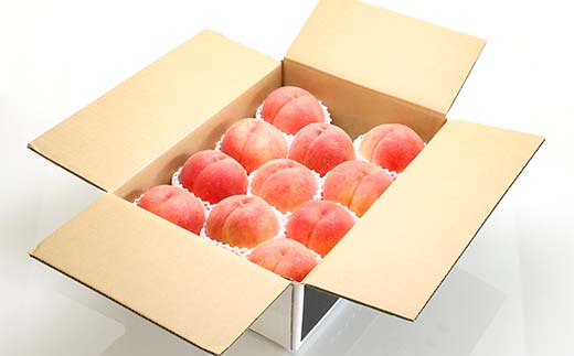 《2026年先行予約》山形県産 大人気！ 夏の収穫 白桃 約3kg（7～12玉） 桃 もも フルーツ くだもの 山形県 中山町 F4A-0424