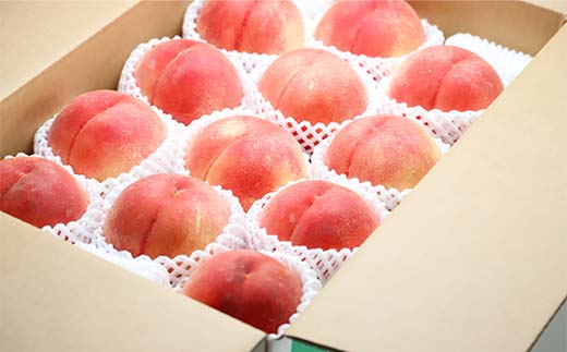 《2026年先行予約》山形県産 大人気！ 夏の収穫 白桃 約5kg（11～20玉） 桃 もも フルーツ くだもの 山形県 中山町 F4A-0425