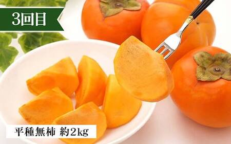 2026年先行予約 【定期便 4回】心を満たす秋冬フルーツ5種類 桃 白桃 シャインマスカット 柿 ぶどう ラ・フランス 梨 洋梨 りんご 果物 山形県 中山町 F4A-0443