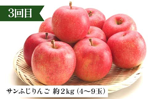 2026年先行予約 【定期便 3回】秋からの人気フルーツ定期便(2) 白桃 シャインマスカット ぶどう 葡萄 りんご サンふじりんご 果物 フルーツ 山形県 中山町 F4A-0448