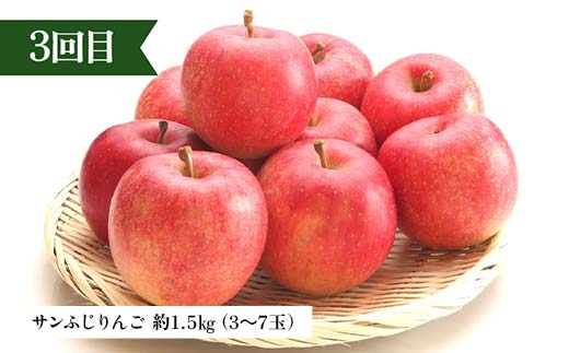 2026年先行予約 【定期便 3回】シャインマスカットから始まる満足定期便(1) シャインマスカット ラ・フランス 洋梨 梨 りんご サンふじりんご 果物 フルーツ 山形県 中山町 F4A-0449