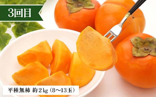 2026年先行予約 【定期便 4回】シャインマスカットから始まる満足定期便(2) シャインマスカット すもも 秋姫 柿 かき ラ・フランス 洋梨 梨 りんご サンふじりんご 果物 フルーツ 山形県 中山町 F4A-0450