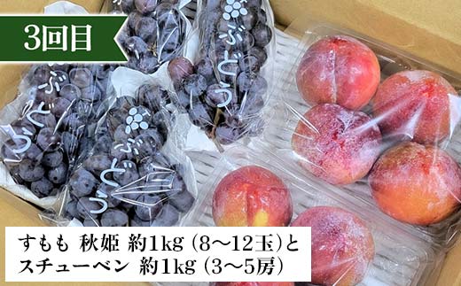 2026年先行予約 【定期便 4回】桃から始まる満足定期便(2) 桃 もも 白桃 すもも 秋姫 シャインマスカット 果物 フルーツ 山形県 中山町 F4A-0452
