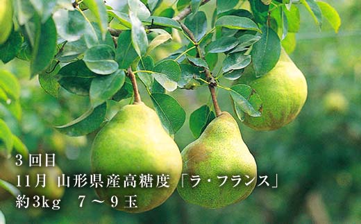 《2026年8月発送開始》山形県至高のフルーツ定期便！山形県至上のフルーツ定期便 全3回 F4A-0456