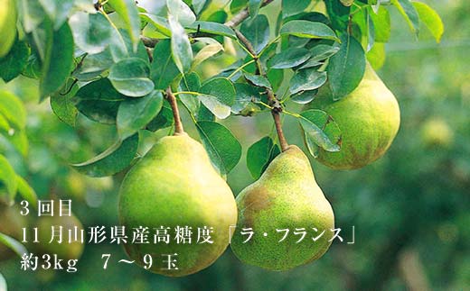 《2026年8月発送開始》山形県 至高のフルーツ！山形県極上フルーツ定期便 全3回 F4A-0457