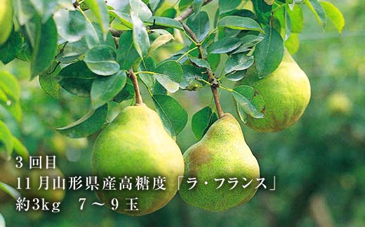 《2026年6月発送開始》山形県至高のフルーツ定期便3回！山形県特出フルーツ定期便 全3回 F4A-0458
