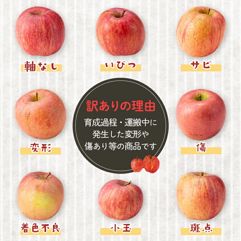 《先行予約》 【訳あり】山形県産サンふじりんご 約10kg 《2025年12月上旬頃より順次発送予定》バラ入り りんご リンゴ 林檎 デザート フルーツ 果物 くだもの 果実 食品 山形県 中山町 F4A-0462
