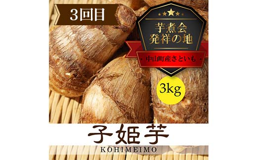 2026年9月発送開始 先行受付 中山町の至高！ 「和をまるごと」3回定期便 和梨 お米 里芋 山形県 中山町 F4A-0474