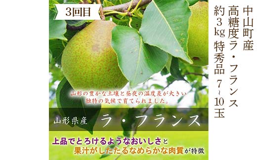 2026年6月発送開始 先行受付 山形県 至高のフルーツ！ 山形県中山町 秀逸フルーツ定期便 全3回 さくらんぼ 桃 ラ・フランス 山形県 中山町 F4A-0475