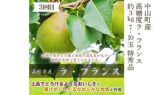 2025年8月発送開始 先行受付 山形県 至高のフルーツ！ 山形県中山町厳選フルーツ定期便 全3回 桃 シャインマスカット ラ・フランス 山形県 中山町 F4A-0479