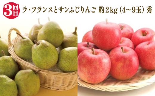 【2025年 先行予約】3回定期便 6つの美味しさ満喫フルーツ便 桃 和梨 シャインマスカット ピオーネ ラ・フランス りんご 果物 くだもの 山形県 中山町 F4A-0483