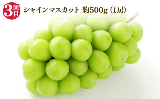 2025年先行受付 【定期便3回】人気フルーツベスト3 さくらんぼ 桃 シャインマスカット 山形県 中山町 F4A-0489