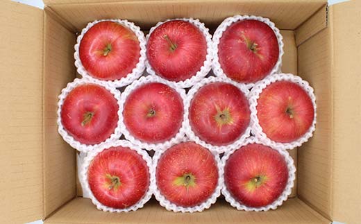 《2026年発送先行予約》山形県産りんご シナノスイート 約3kg 6～11玉 林檎 リンゴ 果物 くだもの フルーツ 山形県産 F4A-0916