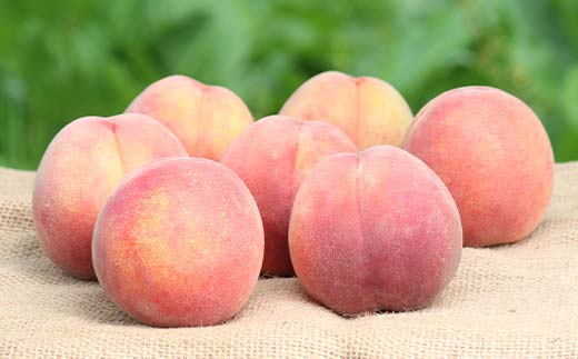 幻のゴールデンピーチ 山形県産 滝ノ沢ゴールド約1.8kg 5～9玉 秀 桃 もも フルーツ 黄色 F4A-0923