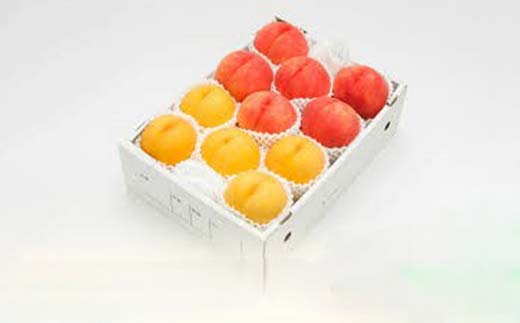 《2026年産 先行受付》山形県産　白桃・黄桃ミックス 秀品 約3kg 柔らかくなる桃 品種・玉数 おまかせ果物 くだもの 桃 もも フルーツ 白桃 山形県産 F4A-0974