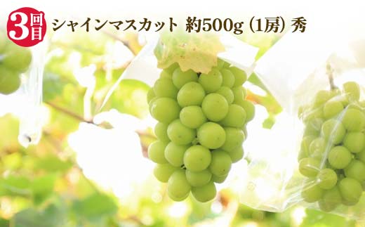 【2026年 先行予約】4回定期便 幸せを呼ぶ人気フルーツ6種便 さくらんぼ 桃 シャインマスカット ラ・フランス りんご 果物 くだもの 山形県 中山町 F4A-1017