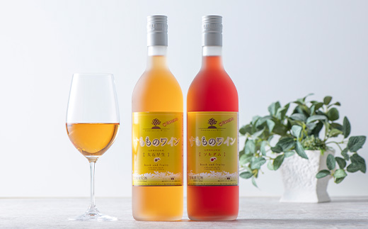 フルーティーさがたまらない！「すももワインセット」 アルコール お酒 果実酒 F4A-0056