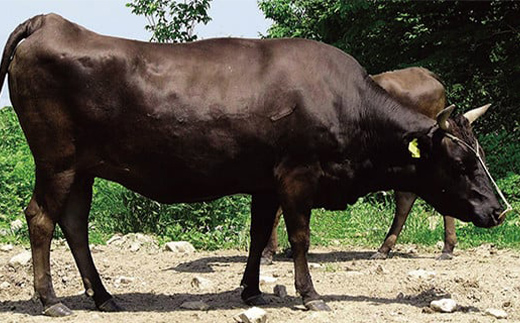 山形県産 山形牛 A4等級以上 肩ロース すき焼用 400g 黒毛和牛 肉 国産 ブランド牛 贅沢 F4A-0369