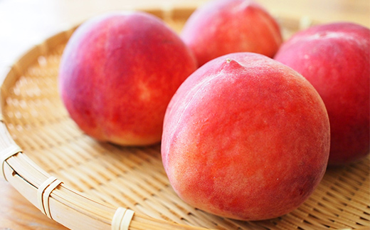 《2025年5月発送開始》中山町の至高！中山町厳選フルーツ定期便 全3回 紅さやか 白桃 シャインマスカット さくらんぼ サクランボ 葡萄 ぶどう ブドウ 桃 もも モモ 山形県産 フルーツ 果物 くだもの 連続 F4A-0373