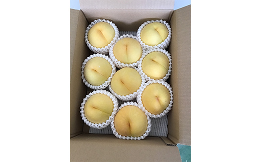 【2026年先行予約】山形県産 黄桃＜あか月姫＞ 約2kg 秀品 数量限定 【2026年8月発送開始】 ジューシー もも モモ 濃厚 フルーツ 果物 くだもの 季節限定 F4A-0381