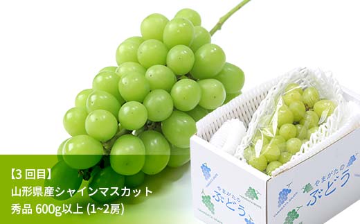 先行予約 2025年度発送【定期便3回】山形県産紅秀峰・白桃・シャインマスカット F4A-0388