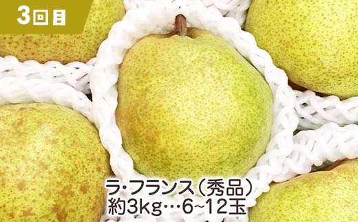 【2026年先行受付】《定期便3回》元気の郷 中山町フルーツ定期便 ～3品食べ比べ～ 白桃 秋姫 ラ・フランス 桃 もも モモ 梨 洋ナシ 洋梨 すもも スモモ 山形県産 フルーツ 果物 くだもの F4A-0394