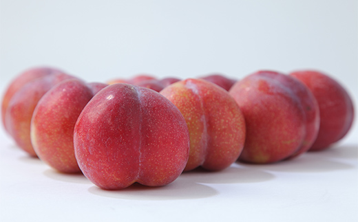 《先行予約》2025年度発送【山形県産フルーツ定期便5回】さくらんぼ・デラウェア・秋姫・ラ・フランス・りんご F4A-0402