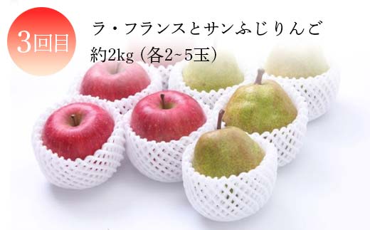 2026年度発送【定期便 3回】山形県産 実は人気な果物定期便 くだもの フルーツ さくらんぼ 紅秀峰 桃 もも ラ・フランス ラフランス 洋梨 梨 りんご サンふじ 山形県 中山町 F4A-0419