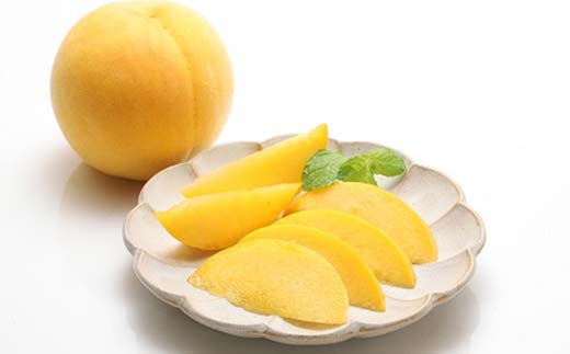 《2026年先行予約》どちらも食べたい！白桃と黄桃の食べ比べセット 約3kg（7～12玉） 桃 もも フルーツ 果物 くだもの 山形県 中山町 F4A-0430