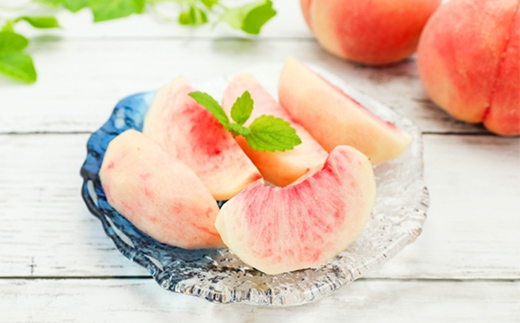  2026年先行予約 【定期便 3回】幸せ♪桃三昧 白桃 黄桃 果物 フルーツ 山形県 中山町 F4A-0444