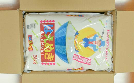 【定期便】【令和7年度産】 山形県産　はえぬき精米 5kg×2袋計10kg×3回 ≪2025年10月より順次発送≫ ブランド米 こめ ご飯 ごはん 白米 毎月届くF4A-0504