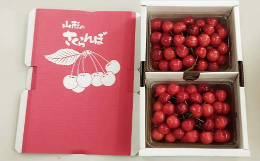 《2026年先行予約》山形県中山町産さくらんぼ《佐藤錦特秀品》 700g Lサイズ以上 山形県産 サクランボ フルーツ 果物 F4A-0106