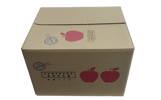 令和8年産 山形県産 サンふじりんご＜訳あり＞ 10kg 32玉～56玉 数量限定 林檎 リンゴ フルーツ 果物 くだもの 家庭用 山形県産 F4A-0380