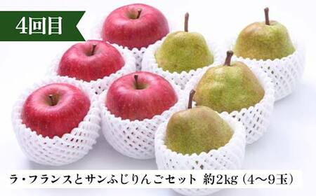 2026年先行予約 【定期便 4回】心を満たす秋冬フルーツ5種類 桃 白桃 シャインマスカット 柿 ぶどう ラ・フランス 梨 洋梨 りんご 果物 山形県 中山町 F4A-0443