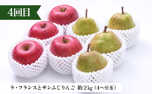 2026年先行予約 【定期便 4回】シャインマスカットから始まる満足定期便(2) シャインマスカット すもも 秋姫 柿 かき ラ・フランス 洋梨 梨 りんご サンふじりんご 果物 フルーツ 山形県 中山町 F4A-0450