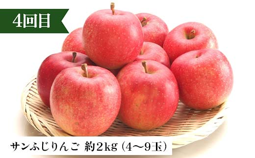 2026年先行予約 【定期便 4回】桃から始まる満足定期便(2) 桃 もも 白桃 すもも 秋姫 シャインマスカット 果物 フルーツ 山形県 中山町 F4A-0452