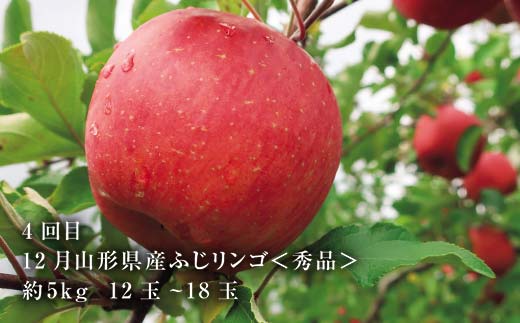 《2026年8月発送開始》山形県 至高のフルーツ！山形県秀逸フルーツ定期便 全4回 F4A-0454