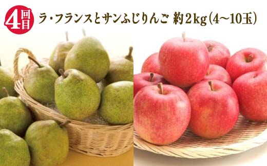 【2025年 先行予約】4回定期便 幸せを呼ぶ人気フルーツ6種便 さくらんぼ 桃 シャインマスカット ラ・フランス りんご 果物 くだもの 山形県 中山町 F4A-0487