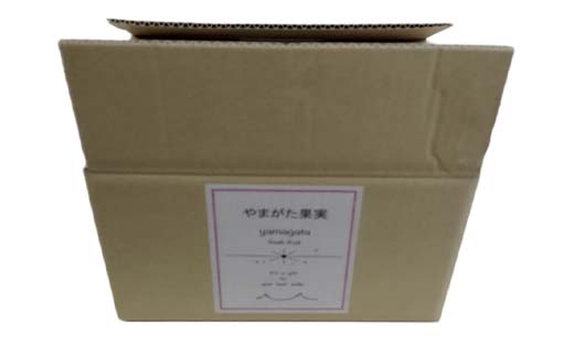【令和8年産先行受付】山形県産高糖度「ラ・フランス」5kg 家庭用(訳あり) 玉数おまかせ らふらんす 果物 くだもの フルーツ 中山町 訳あり 自宅用 F4A-0953