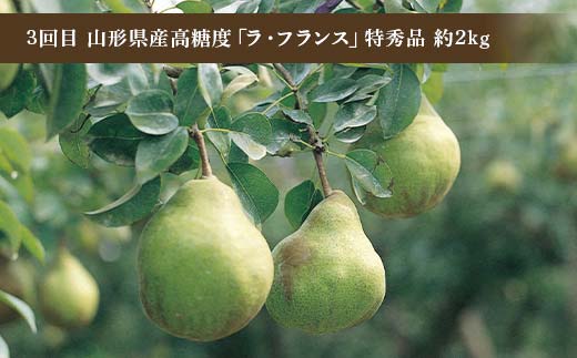 令和8年6月発送開始 山形県 至上のフルーツ！ 山形県旬のフルーツ定期便 全3回 紅秀峰 白桃 ラ・フランス 期間限定 数量限定 山形県産 サクランボ 桃 梨 フルーツ 果物 くだもの 贈答 F4A-0966