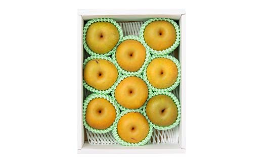 【2026年先行予約】農家直送「家庭用 品種おまかせ和梨」約3kg 中山町 渡辺ファーム 幸水 豊水 南水 ナシ くだもの 果物フルーツ F4A-0987