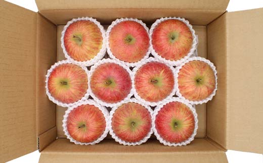 《2026年発送先行予約》山形県産 葉取らず完熟サンふじりんご 秀 約3kg 林檎 リンゴ フルーツ 果物 くだもの 山形県 中山町 F4A-1008